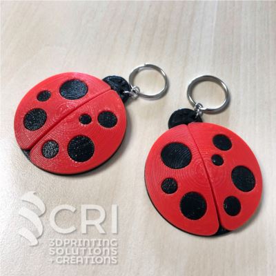 Portachiavi Coccinella in stampa 3d