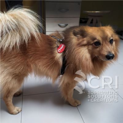 Medaglietta Cane Rossa da Peluche in stampa 3d