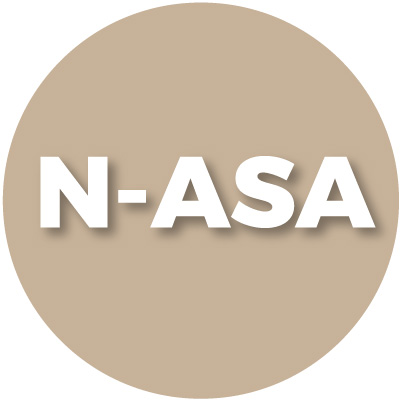 Filamenti per stampanti 3d N-ASA